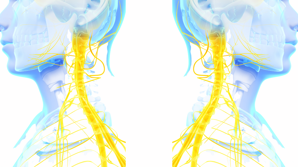 Pinched Nerve in neck symptoms