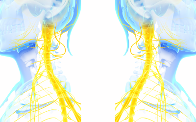 Pinched Nerve in neck symptoms